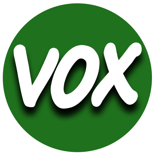 ¿Por qué cada día más, los españoles están dando su apoyo a VOX?